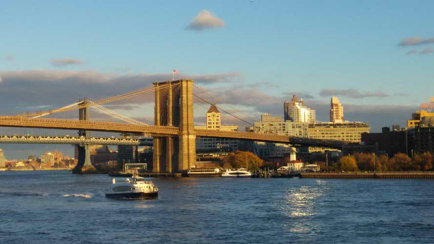 NYC_2017-11-22 15-56-06_CELL_20171122_155606